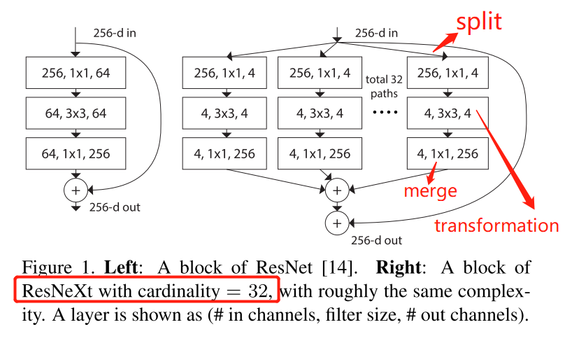 Block in ResNeXt