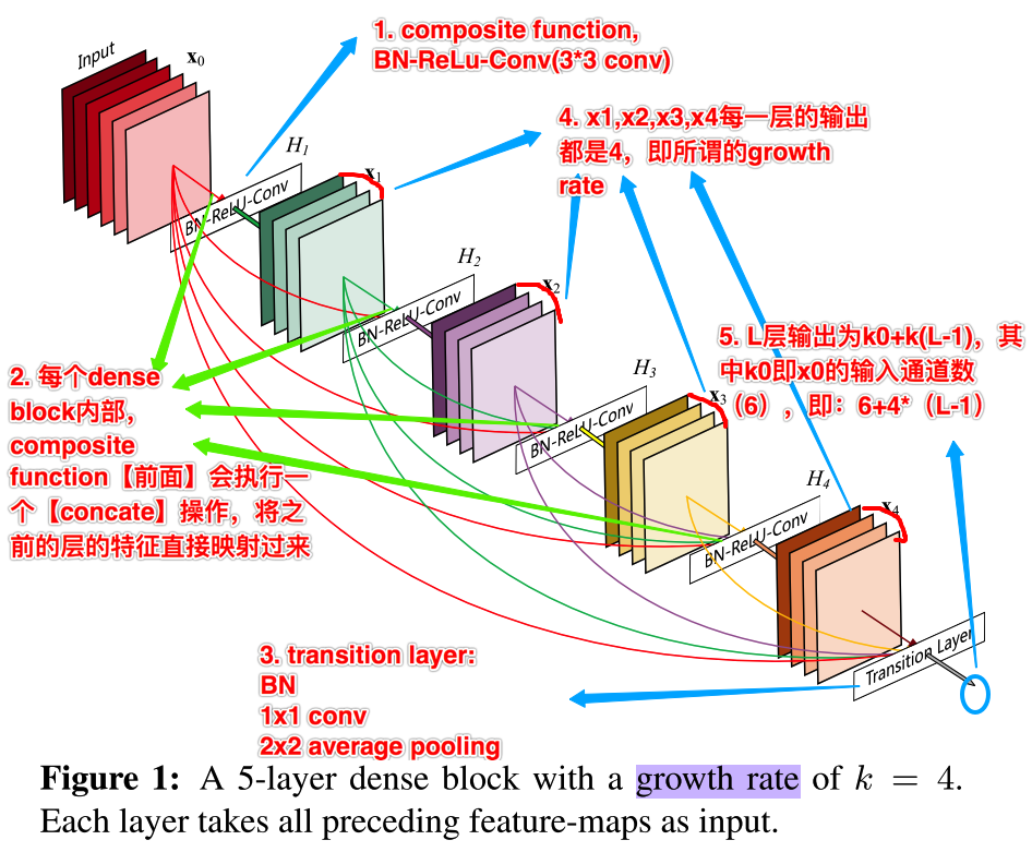 DenseNet示意图