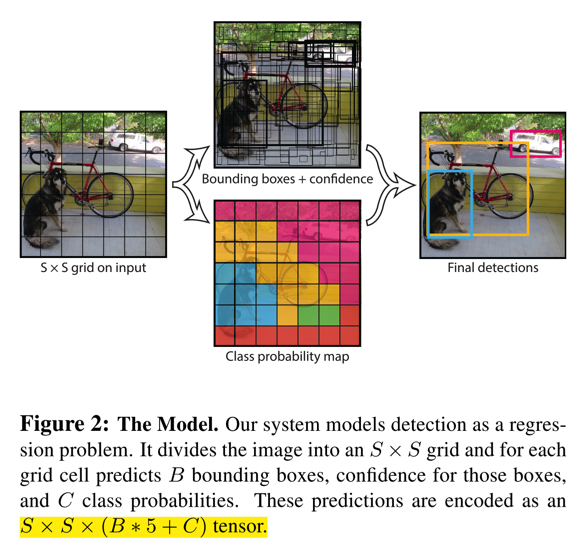 The Net Model